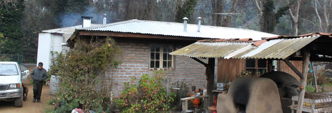 JJVV N°21 Acúleo Etapa II – Acúleo