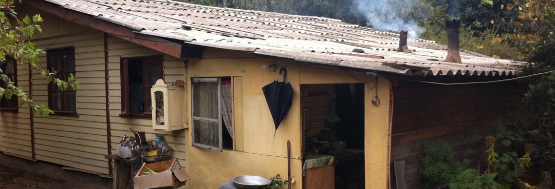 JJVV N°21 Acúleo – Acúleo